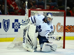 James Reimer makes a save in the first period against the Red Wings at Joe Louis Arena in Detroit.(Andrew Weber/USA TODAY Sports)