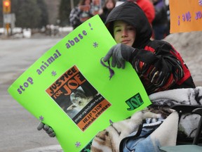 Nick Balics, 11, from Wallaceburg, was one of about 20 people rallying outside of the Sarnia, Ont., courthouse Wednesday March 19, 2014 for tougher animal abuse penalties. It's the second such demonstration since arrests were made in the case of a cat named Joe being shot 17 times with a pellet gun. Balics was there with his grandmother Alison, also of Wallaceburg. (TYLER KULA/ THE OBSERVER/ QMI AGENCY)