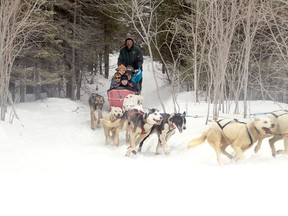 Grade 4 and 5 students from Pope John Paul II  enjoy a dogsled ride at Traditional Winter Activities Day at St. Thomas Aquinas Secondary School on Tuesday, March 18.