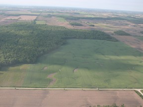 A Chatham company is using a bat-winged drone to map and scout area farm fields