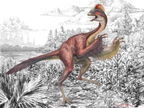 The new oviraptorosaurian dinosaur species Anzu wyliei is shown in this artist's rendering courtesy of Bob Walters. Scientists identified a dinosaur called Anzu wyliei on March 19, 2014, from fossils found in North Dakota and South Dakota. (REUTERS/Bob Walters/Handout via Reuters)