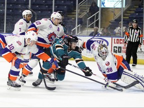 Brock Higgs of the Worcester Sharks scores his first goal in the AHL against the Bridgeport Sound Tigers. (Supplied photo)