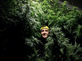 A new federal law means medical marijuana user Kevin Wetzel will no longer be able to grow his own medicine as of April 1. He was photographed in London, Ont. on Tuesday March 18, 2014. (DEREK RUTTAN/QMI Agency)