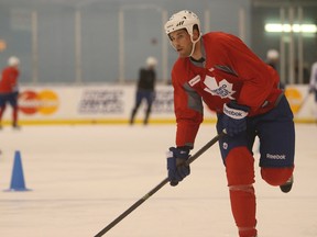Maple Leafs' Troy Bodie (Jack Boland, QMI Agency)