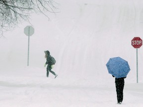 Nathalie Lu walks along Blackburn Ave in during a snowstorm Saturday, March 22, 2014.
It may be spring on the calendar but Old Man Winter is being stubborn.
Darren Brown/Ottawa Sun/QMI Agency