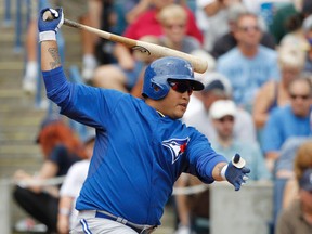 Blue Jays catcher Dioner Navarro hits an RBI single in second inning against the New York Yankees on Sunday. (Kim Klement/USA TODAY Sports)