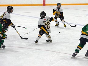 CHRIS ABBOTT/TILLSONBURG NEWS
Langton Lions Club novices lost 7-3 to Thamesford Saturday in Langton, but rebounded to win Game 3 in Thamesford Sunday afternoon. Game 4 in the OMHA DD novice finals is Wednesday, March 26 at 7 p.m. in Langton.