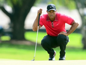 Tiger Woods (Andrew Weber/USA TODAY Sports)