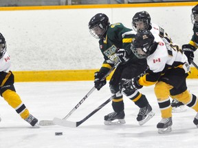 Talbot Geiger (left) and Zach Houben of the Mitchell Novices double-team this Mount Forest opponent during Game 5 of their WOAA Twolan Division semi-final game last Tuesday, March 18. ANDY BADER/MITCHELL ADVOCATE