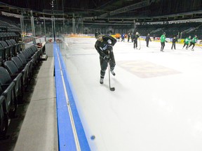 London Knights defenceman Zach  Bell fires the puck along the boards as he practises with his OHL team at  Budweiser Gardens on Monday.  (CRAIG GLOVER, The London Free Press)