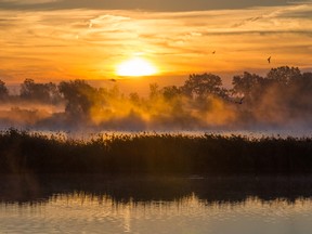 This Christine Roenspiess photo of the Wawanosh Wetlands Conservation Area at sunrise is one of 25 in the Sarnia, Ont. Century Celebration exhibition by members of the Sarnia Photographic Club at the Lawrence House this April. The exhibition and sale runs until April 25 and the theme coincides with Sarnia's centennial celebration this year. (Submitted photo)

Paginators:
This Christine Roenspiess photo of the Wawanosh Wetlands Conservation Area at sunrise is one of 25 in the Sarnia Century Celebration exhibition by members of the Sarnia Photographic Club. The exhibition and sale, at the Lawrence House, runs April 4-25 and the theme coincides with Sarnia's centennial celebration this year. (Submitted photo)