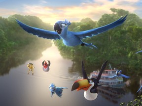 The Canadian premiere of Rio 2, an animated adventure in the Amazon featuring Blu and Jewel, happens at the TIFF Kids International Film Festival. (Courtesy TIFF