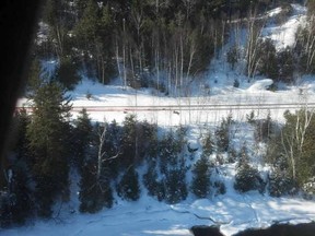 MNR photo
A trail of blood and carcasses of elk were visible on the CN tracks south of McVittie Dam, in the Estaire area, as Ministry of Natural Resources staff flew over in a helicopter on Friday. Three animals were killed, including a calf and cow.
