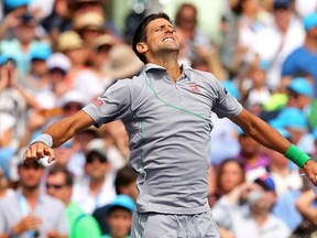 Novak Djokovic of Serbia reacts after defeating Rafael Nadal of Spain during the final of the Sony Open at Crandon Park Tennis Center on March 30, 2014 in Key Biscayne, Florida. (Mike Ehrmann/Getty Images/AFP)