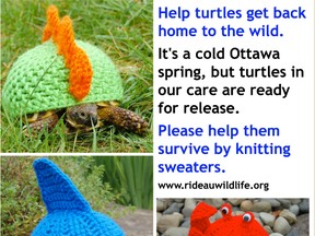 The Rideau Valley Wildlife Sanctuary tweeted this image of turtles in sweaters asking people to knit garments to keep the animals warm during our abnormally cold spring. Yes, it was an April Fools prank. (Image courtesy www.etsy.com/ca/shop/MossyTortoise)