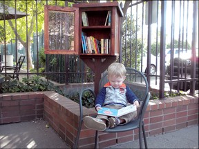 A young boy reads a book from a Free Little Libraries trading post in Woodland, California.