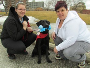 Erinn Sweeney, left, and her mother Erica Sweeney, with Rigby, a foster autism service puppy they are raising in their Sarnia home for the Autism Dog Services program. It's hoped Rigby will eventually be placed in a family with a child who is living with autism. (PAUL MORDEN, The Observer)