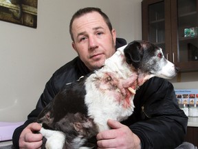 Will Hipkiss hugs his injured dog J. Ru, at the Southside Animal Clinic.