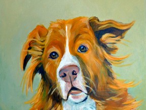 Marley is one of Kim DiFrancesco's dog paintings on display at the Old Town Hall Gallery in Waterford. (Submitted Photo)