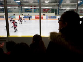 A Winnipeg couple has received a three-year ban from Hockey Winnipeg. (File)
