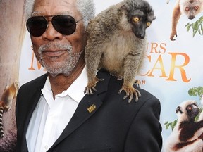 Actor Morgan Freeman arrives at the premiere of 'Island Of Lemurs: Madagascar' at California Science Center on March 29, 2014 in Los Angeles. Angela Weiss/Getty Images/AFP