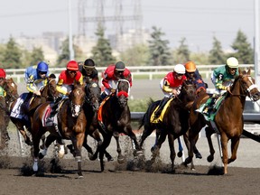 The revolutionary “standardbred alliance,” is a potential saviour for an industry still reeling in uncertainty from the crushing loss of slots revenue two years ago. (QMI AGENCY/PHOTO)