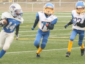 A member of the atom Bombers (77) looks to chase down an opponent in game action from last fall. - Gord Montgomery, File Photo