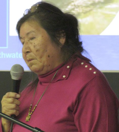 Josephine Mandamin has walked more than 17,000 kilometres to raise