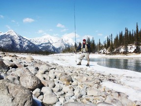 Neil fly fishing for bull trout on the Athabasca River. (SUPPLIED)