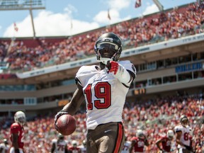 Tampa Bay Buccaneers wide receiver Mike Williams (19) reacts after scoring a touchdown during the first half of the game against the Arizona Cardinals at Raymond James Stadium on Sep 29, 2013 in Tampa, FL, USA. (Rob Foldy/USA TODAY Sports)