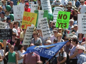 In Ottawa in 2000, teachers and supporters protest changes to education implemented by the Mike Harris Conservative government. 
QMI AGENCY FILES