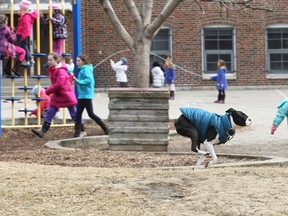 Buster-Jones runs through the playground at Adam Beck Public School during lunch hour. Owner Sara-Jane Nugent always picks up after her pet. However, not all owners do. (STAN BEHAL, Toronto Sun)