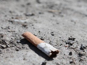 More than 600 cigarette butts litter the ground along Elgin Street between Gilmour and MacLaren streets and as more snow melts the problem will only get worse. A battle is brewing as to who is responsible for cleaning them up.
JESSIE ARCHAMBAULT/Ottawa Sun/QMI AGENCY