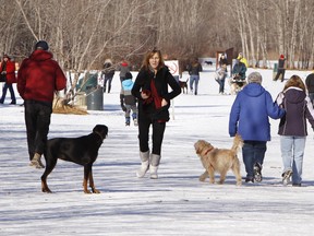 Dogs and their owners come and go from the Beuna Vista Great Meadow / Laurier Park Off-Leash area in 2012. (TOM BRAID/EDMONTON SUN)