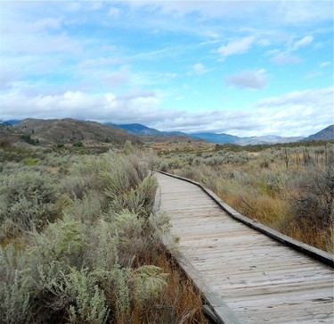A view of the boardwalk at the Osoyoos Desert Centre, a 27-hectare ecology education site. KERRI BREEN/QMI AGENCY