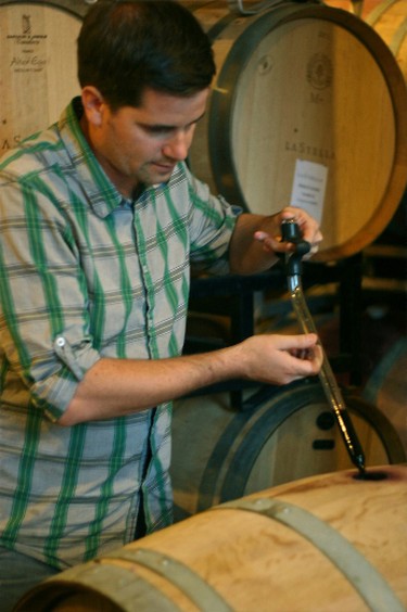Wade Martin of LaStella winery siphons a sample of the 2012 merlot from the barrel.  KERRI BREEN/QMI AGENCY