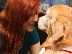 Cassie Fawcett, a first-year student, enjoyed taking a break and spending time with Matilda and some of the other dogs on Tuesday, when St. John Ambulance Therapy Dogs visited St. Lawrence College. 
BRIANNE STE MARIE LACROIX/KINGSTONWHIG_STANDARD/QMIAGENCY