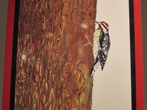 Annie Dunning’s “Sapsucker Sounds’ exhibit is at the Modern Fuel gallery until April 19. (Supplied photo)