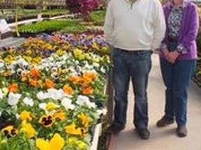 Steve Teske and Rhoda Van Horik?s are ushering in spring at Van Horik?s Greenhouses