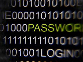 File picture illustration of the word 'password' pictured on a computer screen, taken in Berlin May 21, 2013. (REUTERS/Pawel Kopczynski/Files)