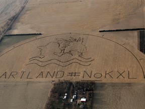 A huge crop art image protesting the proposed Keystone XL pipeline covers an 80 acre corn field outside of Neligh, Nebraska on April 12, 2014. (Photo: Lou Dematteis/Handout/QMI Agency)