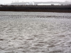 Water ripples in a farm field north of Stratford, Ont., this week.
(Scott Wishart, The Beacon Herald)