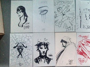 Columnist Adam Pottier’s collection of sketches drawn by comic book artists includes (top, from left) Elvira by Ron Sutton, Dawn by Joseph Linsner, Lethargic Lad by Greg Hyland, Teenage Mutant Ninja Turtle by Kevin Eastman and (bottom, from left) Spider-man by Ian Churchill, Sandman by Leinil Francis Yu, Moon Knight by Stephen Platt and Teenage Mutant Ninja Turtle by Peter Laird. (Supplied photo)