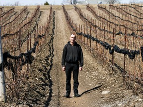 Vineyard manager at Hillier Creek Estates in Prince Edward County, Woody Cassell, stands in a section of the winery's 22.8-acre vineyard Wednesday, April 9. 
Jerome Lessard/ The Intelligencer