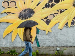 A man walks past a bright summer themed mural in Vanier on a dark and rainy day in Ottawa. June 28,2013.  Errol McGihon/Ottawa Sun/QMI Agency