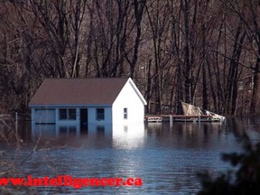 Tweed flood