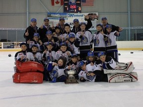 The Nickel City Sons atom AA squad won the OHF provincial title last weekend.