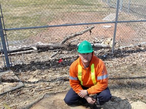 Eugene Conners, a certified arbourist with Public Works for the City of Kingston, oversaw the removal of seven of the remaining large Eastern Cottonwood poplars from just beyond the left field fence at Megaffin Park last week. 
Julia McKay/Kingston Whig-Standard/QMI Agency