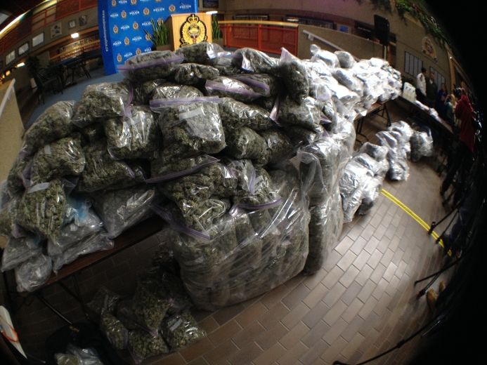 Fun Drop CBD Gummies Reviews Does It Work For Stress Relief?