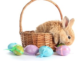 What exactly is the meaning of this furry critter in a basket? (FOTOLIA)